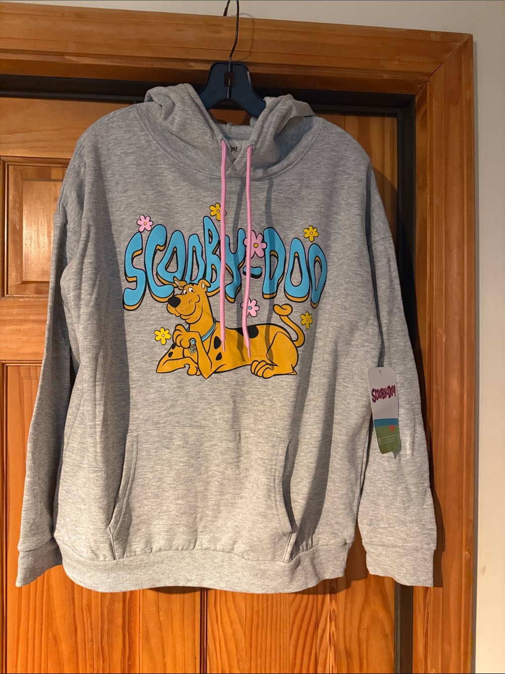 Scooby-Doo Grey Graphic Hoodie with Pink Drawstrings